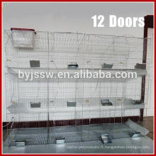 Cages d&#39;élevage de lapin de livraison rapide pour les lapins femelles et jeunes